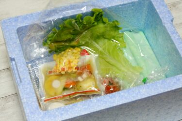 ミールキットは１人暮らしにもおすすめ！ミールキットを活用して料理を楽に！